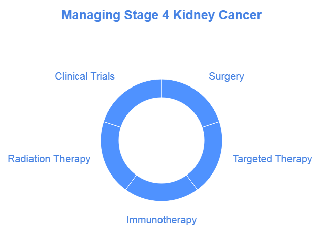 Treatment Options for Stage 4 Kidney Cancer