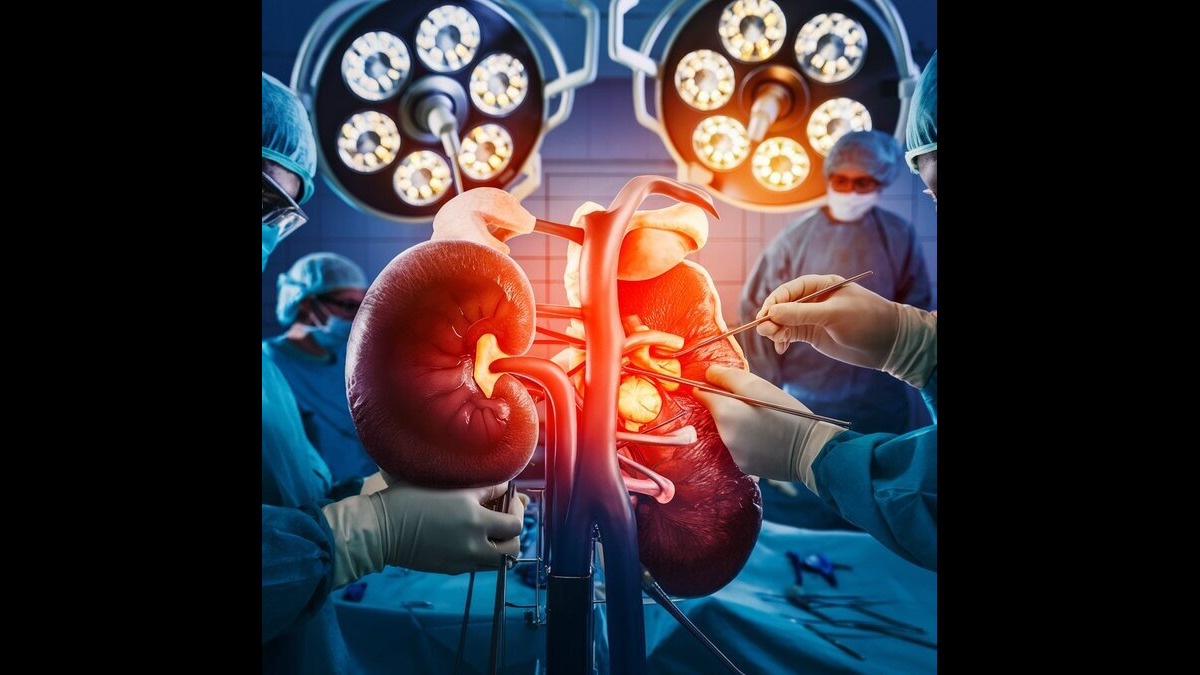 Kidney Surgery