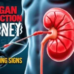 Signs Of Organ Rejection Kidney