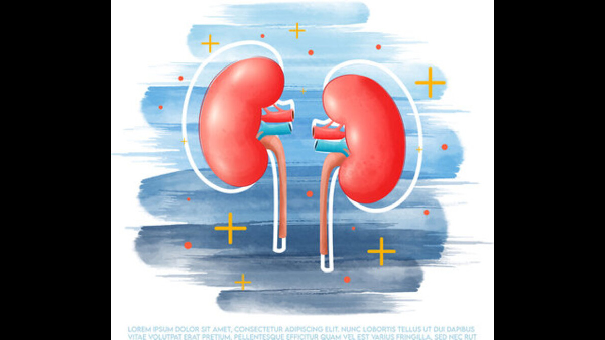 risk factor of kidney