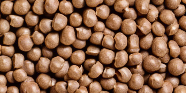 Buckwheat For Renal Diet