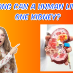 How Long Can a Human Live with One Kidney