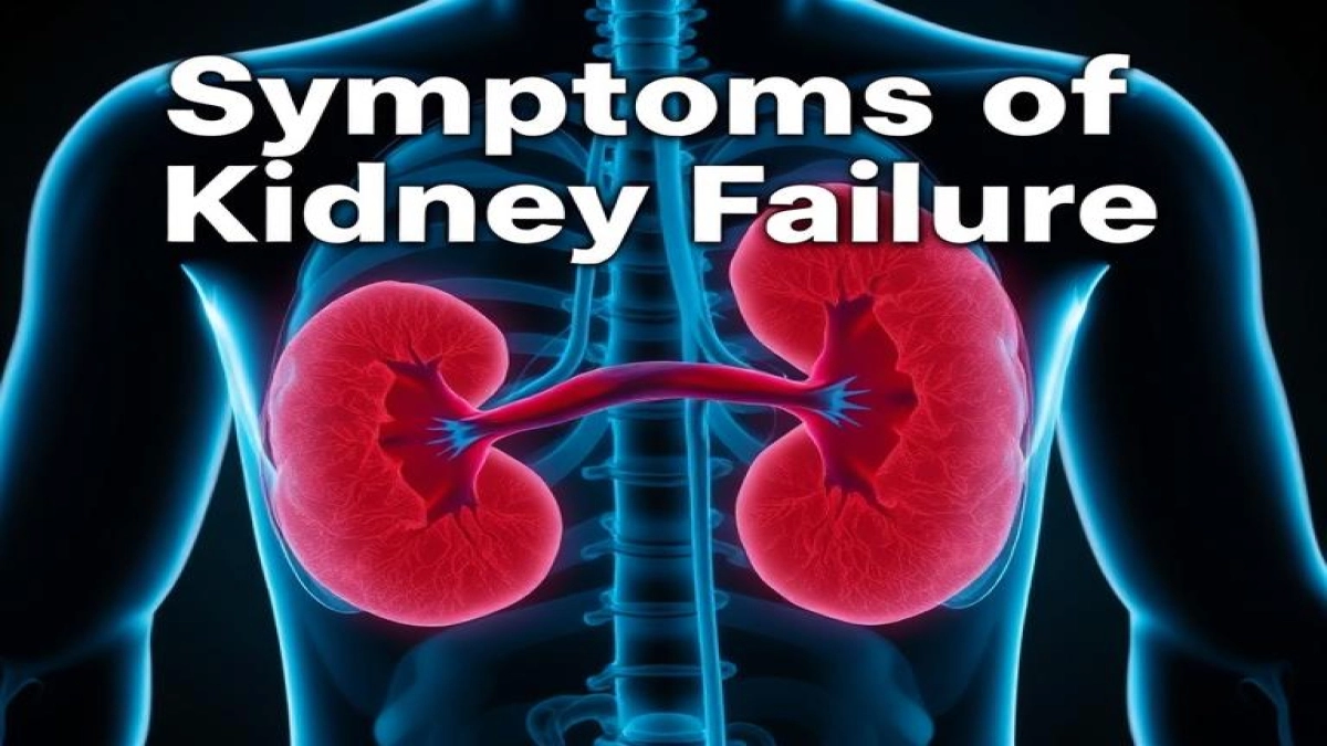 Symptoms of Kidney Failure