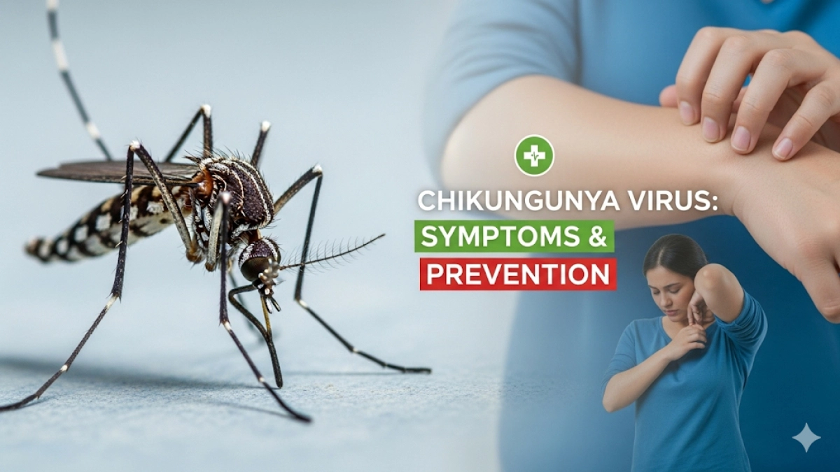 Chikungunya Virus Symptoms and Preventions