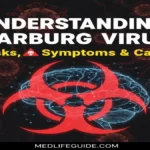 What Is Marburg Virus Causes, Symptoms & Treatment