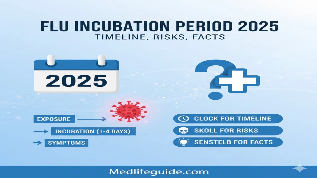 Flu Incubation Period guide created by medlifeguide.com