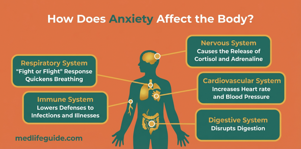 Diagram illustrating the effects of anxiety on the body, featuring information from "What Is Anxiety" by MedLifeGuide.