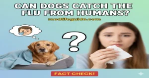 Can Dogs Catch the Flu From Humans