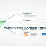 Pancreatic Cancer Treatment Options by medlifeguide