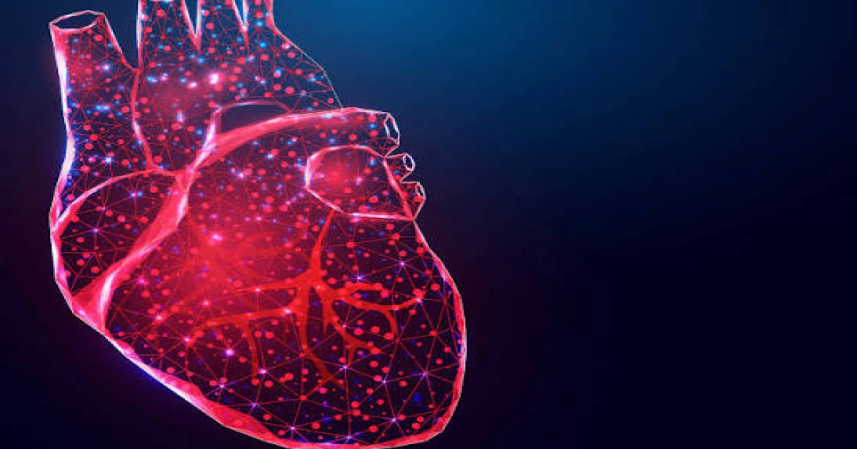 heart