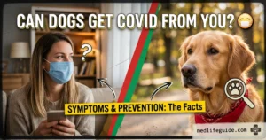 can dogs get covid from human